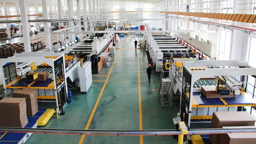 上海包裝印刷 無(wú)人工廠 投產(chǎn),兩條流水線僅8人在崗